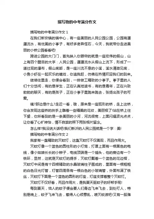 描写物的中考满分作文