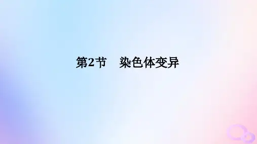 2024版新教材高中生物第5章基因突变及其他变异第2节染色体变异课件新人教版必修2