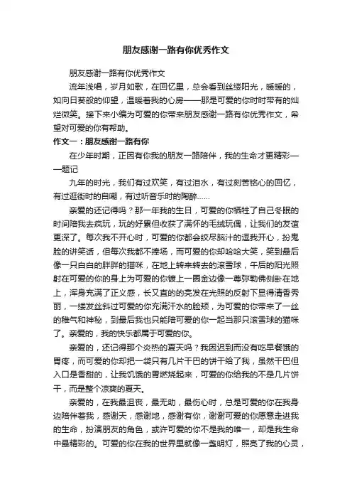 朋友感谢一路有你优秀作文