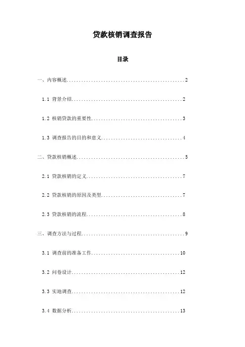 贷款核销调查报告