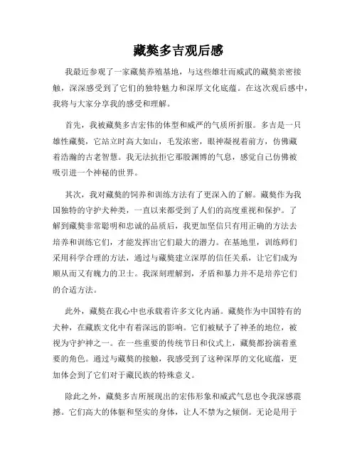 藏獒多吉观后感