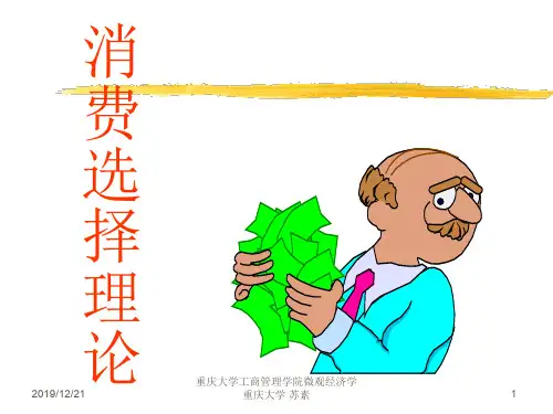 微观经济学消费理论精品文档74页