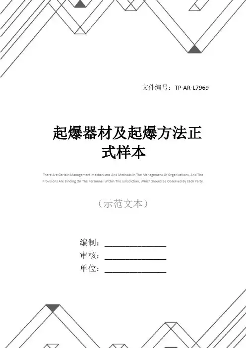 起爆器材及起爆方法正式样本