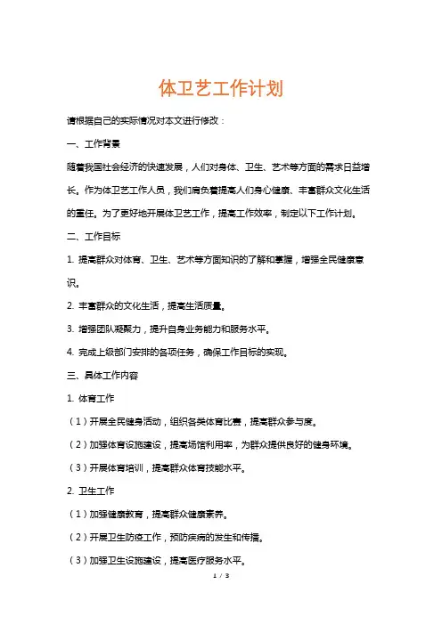 体卫艺工作计划
