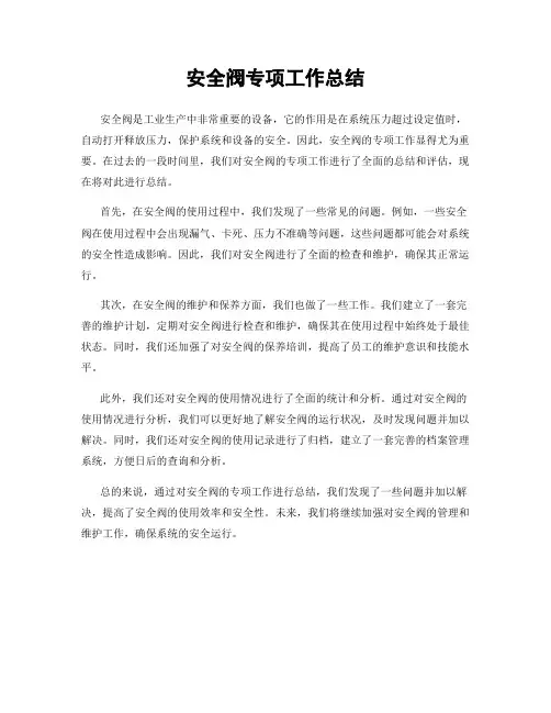 安全阀专项工作总结