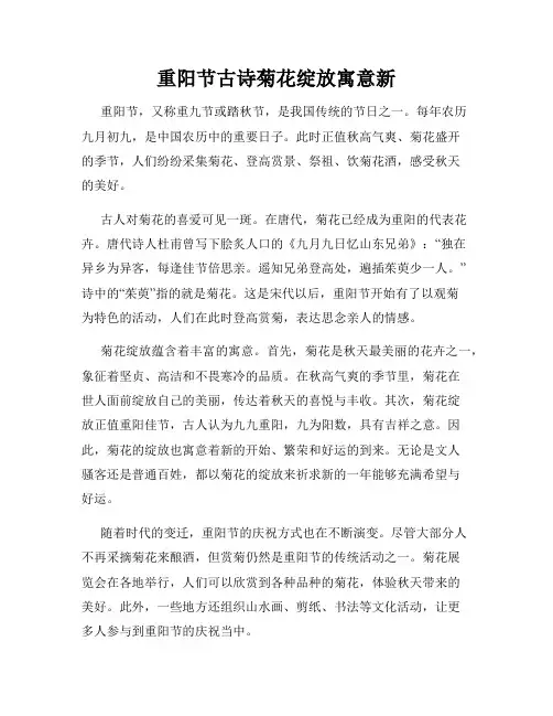 重阳节古诗菊花绽放寓意新
