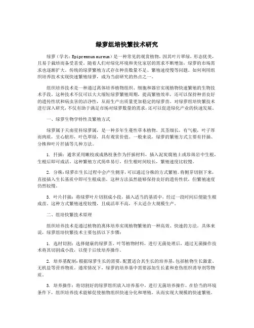 绿萝组培快繁技术研究