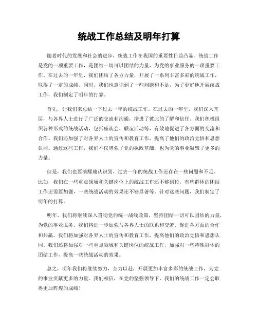 统战工作总结及明年打算