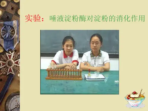 实验：唾液淀粉酶对淀粉的消化作用