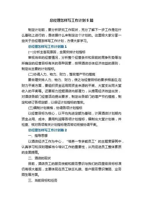 总经理怎样写工作计划5篇