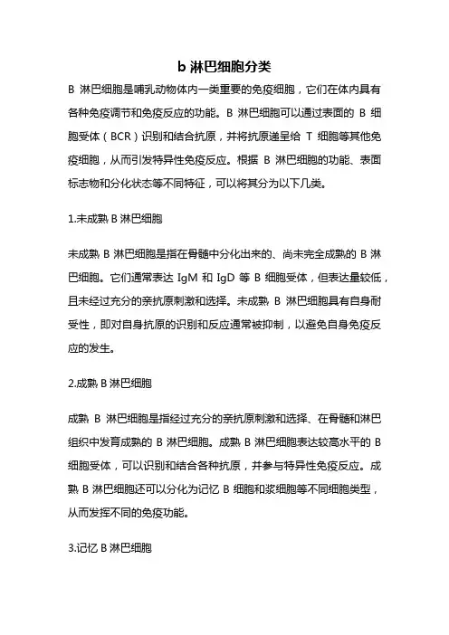 b淋巴细胞分类