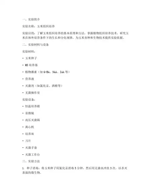 玉米组培实验报告