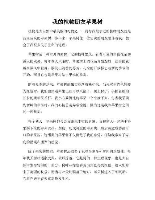 我的植物朋友苹果树