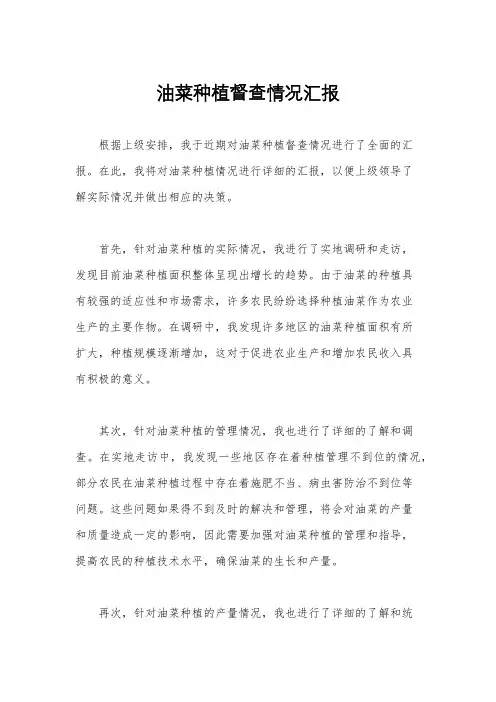 油菜种植督查情况汇报
