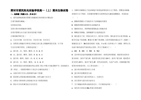 高一生物上学期期末试卷(含解析)高一全册生物试题5
