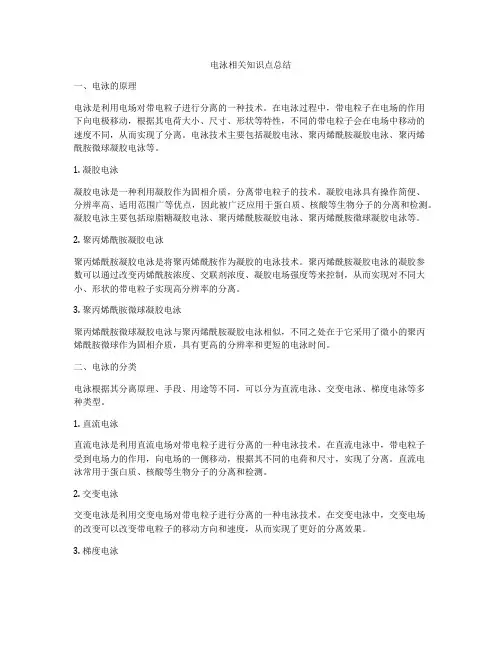 电泳相关知识点总结