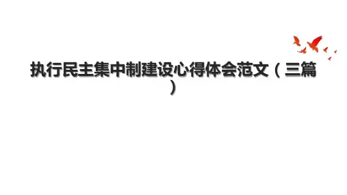 执行民主集中制建设心得体会范文(三篇)