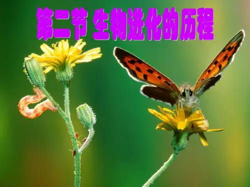 第二节生物进化的历程PPT课件
