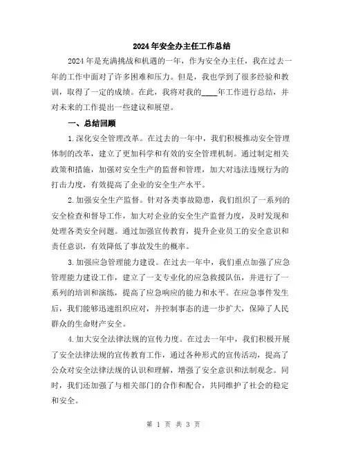 2024年安全办主任工作总结