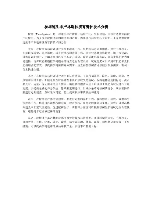 桉树速生丰产林造林抚育管护技术分析