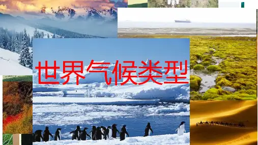 高中地理 世界气候类型(高三一轮复习)(共72张PPT)