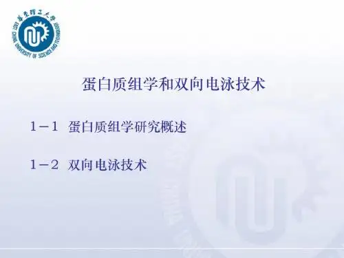 二维电泳