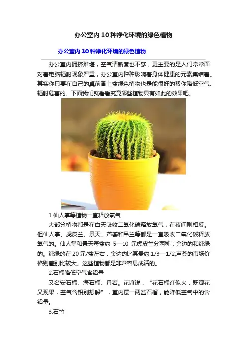 办公室内10种净化环境的绿色植物