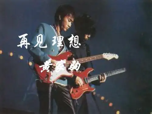 再见理想