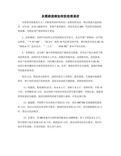 水稻恶苗病如何防治效果好