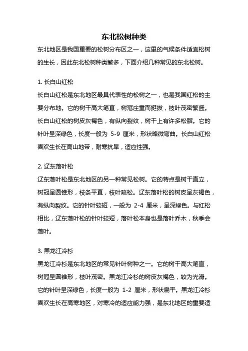 东北松树种类