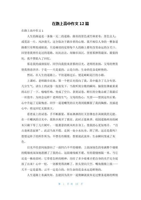 在路上高中作文12篇_3