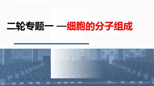 2024届高三生物二轮专题复习：细胞的分子组成