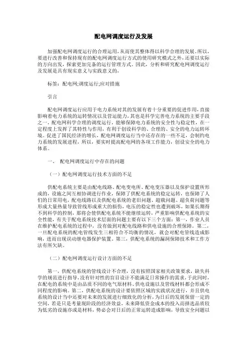 配电网调度运行及发展