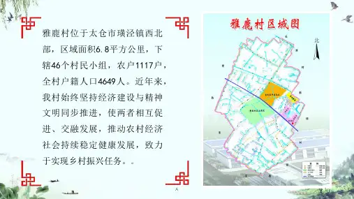 乡村振兴汇报ppt课件