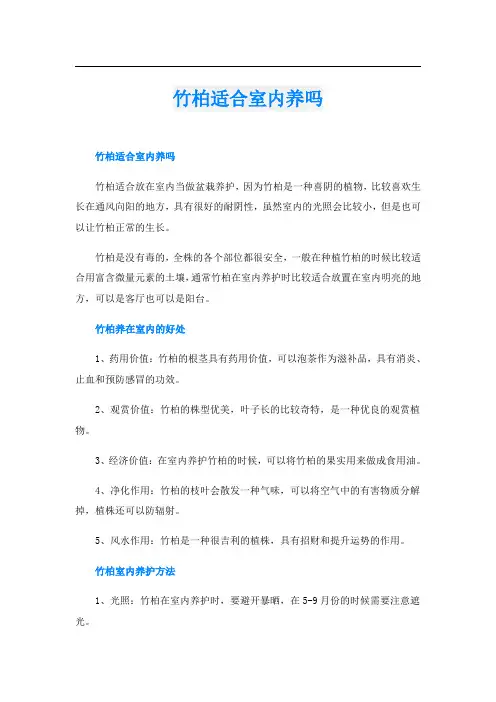 竹柏适合室内养吗