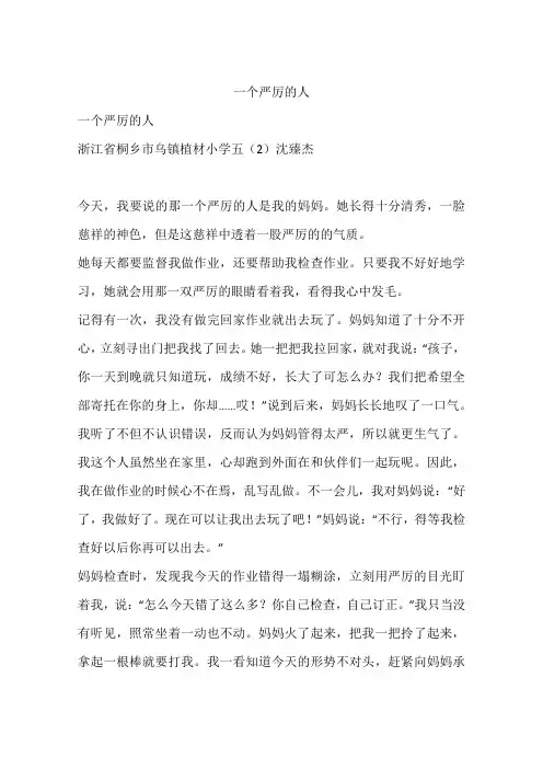一个严厉的人-作文