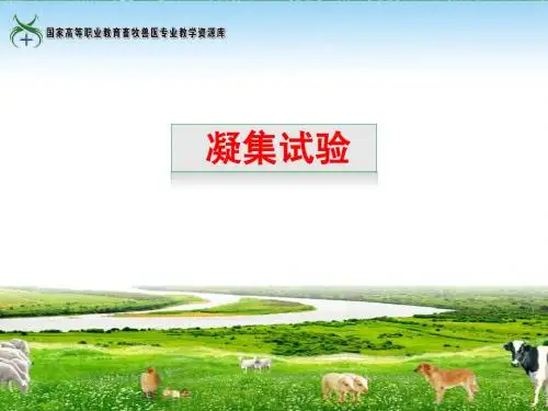 凝集试验