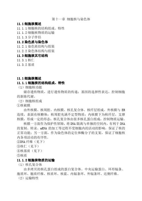 (细胞生物学(王金发版)章节总结)第十一章 细胞核与染色体