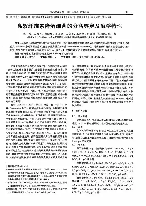 高效纤维素降解细菌的分离鉴定及酶学特性