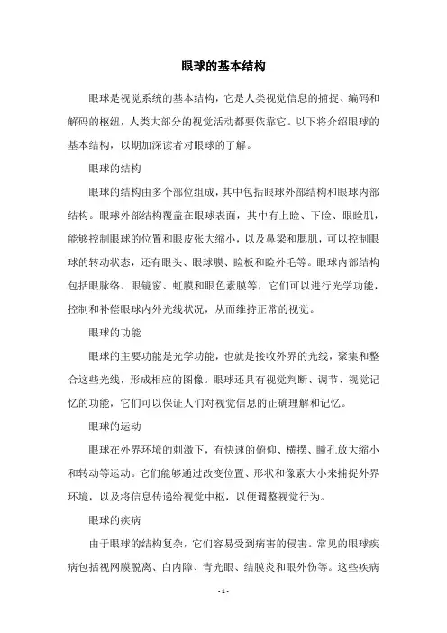眼球的基本结构