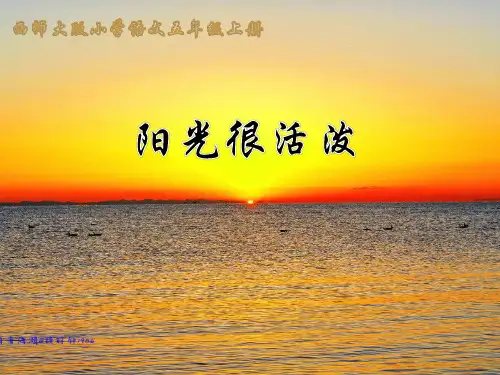 五年级上册语文课件-6.22 阳光很活泼｜西师大版 (共13张PPT)