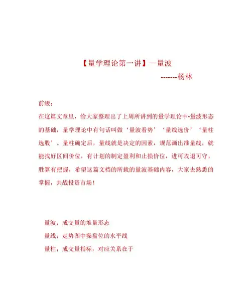 杨林【量学理论第一讲】—量波