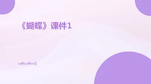 《蝴蝶》课件1