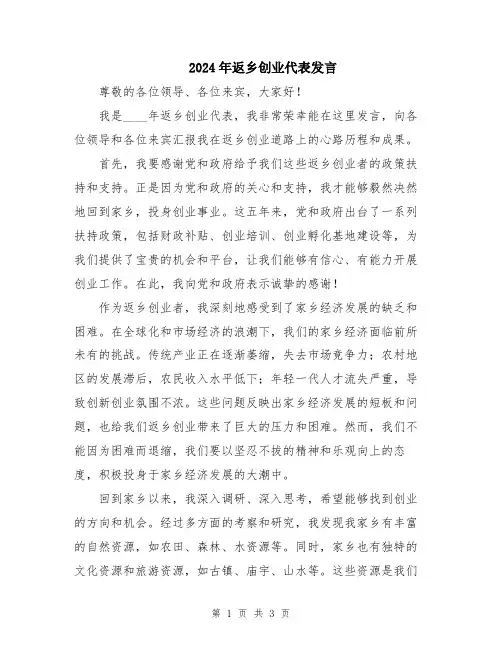 2024年返乡创业代表发言