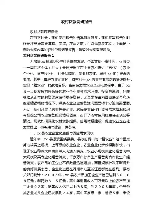 农村贷款调研报告