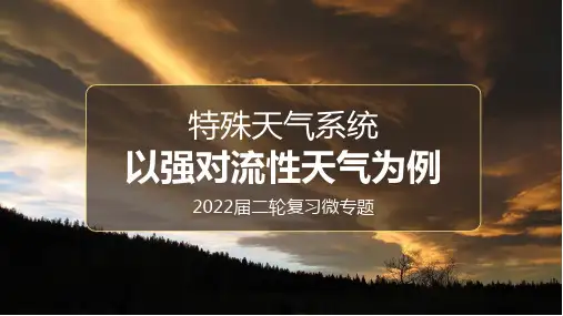 特殊天气系统高三二轮复习课件PPT