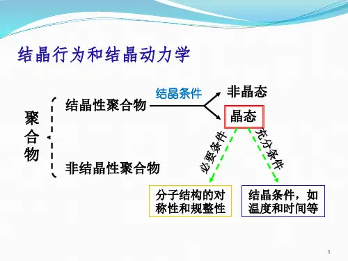 第三章结晶动力学和热力学ppt课件