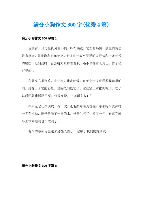 满分小狗作文300字(优秀4篇)