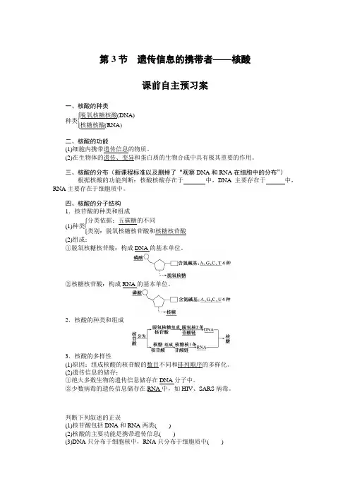 遗传信息的携带者——核酸导学案含答案