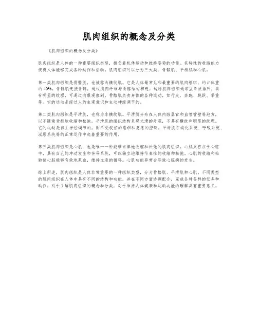 肌肉组织的概念及分类